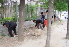“环境整治我带头”——党员环境整治志愿行动
