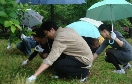 笛扬社区卫生整治志愿活动