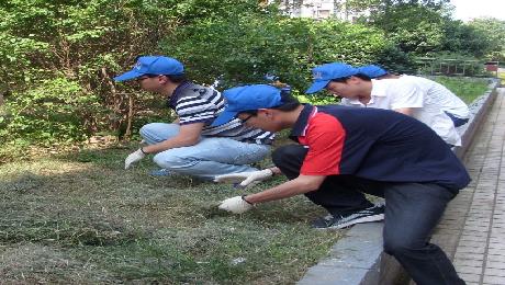 双梅居委会“争做幸福水乡文明人”城区环境卫生整治志愿服务行动