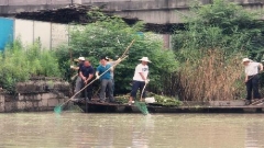 水务集团开展“保护河道”党员志愿者服务活动