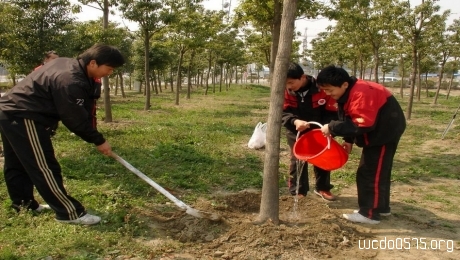 “手拉手共植志愿者林 心连心同建绿色柯桥”植树节志愿活动