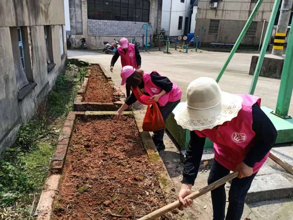 春意盎然播种花种